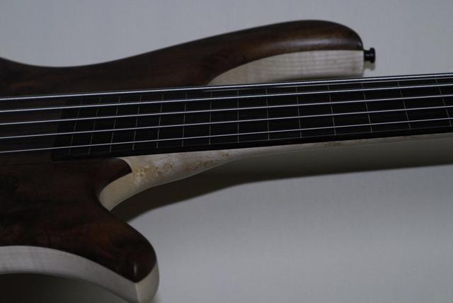 Jonas ebony : maple-lined fingerboard  